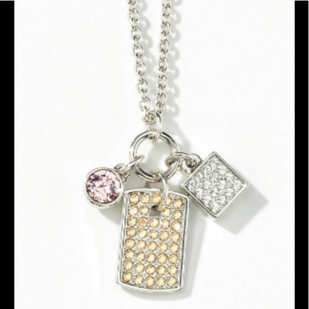 TAG ALONG necklace Touchstone Crystal by SWAROVSKI BNIB